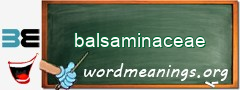 WordMeaning blackboard for balsaminaceae